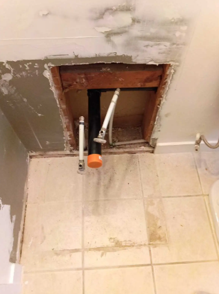 What The Flush Plumbing
